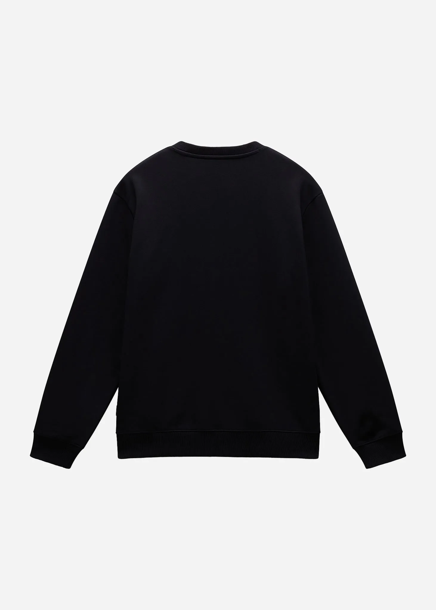 Albula crewneck sweater  - black