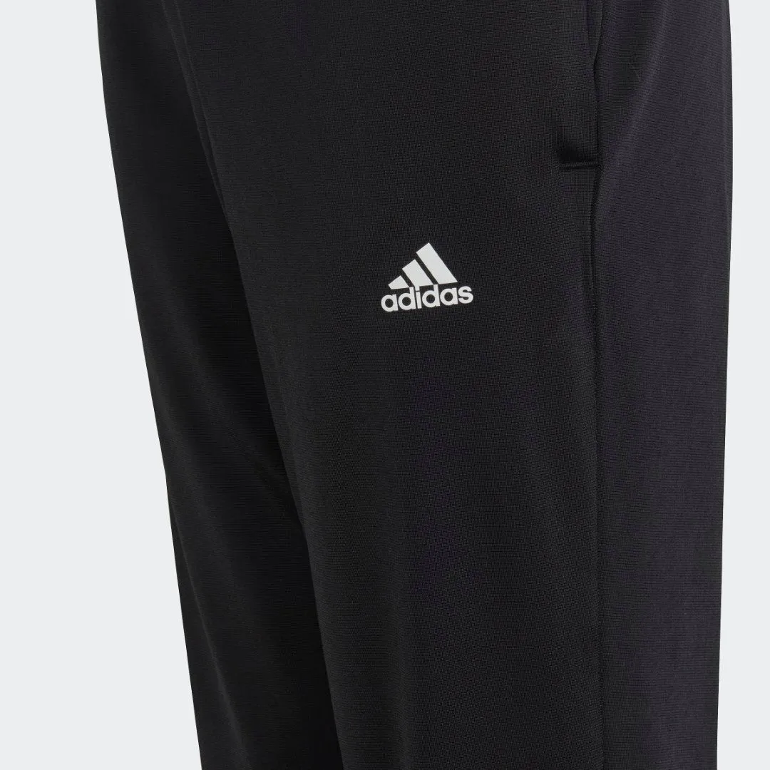 Essentials Big Logo Track Suit