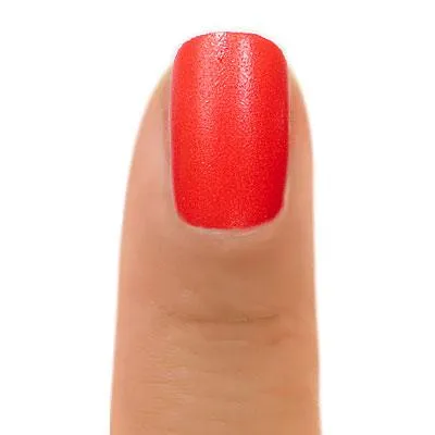 ZOYA Marcy